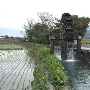 水车