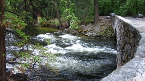 Pohono Bridge