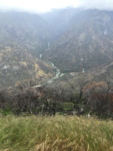 Kings Canyon Scenic Byway