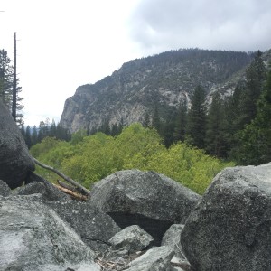 Zumwalt Meadow Trail