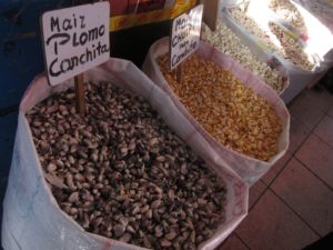 different types of grains