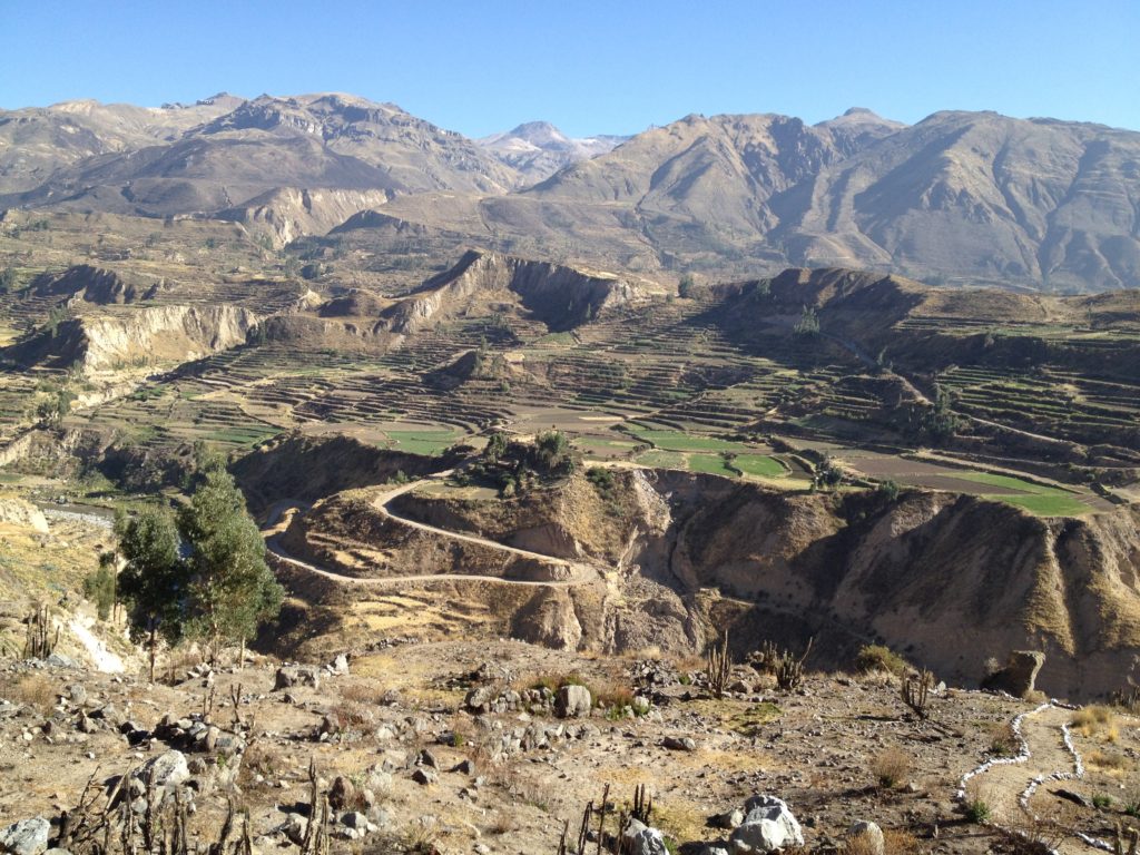 Peru. Colca Canyon.