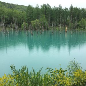 Shirogane Blue Pond