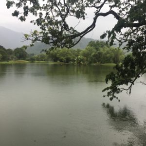 taiping lake garden